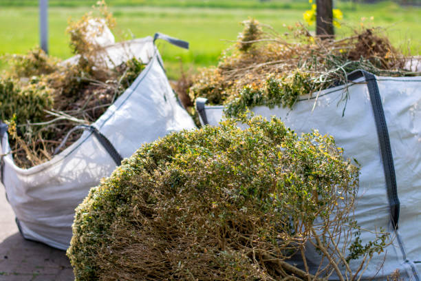 Best Commercial Cleanout Services  in Algonquin, IL